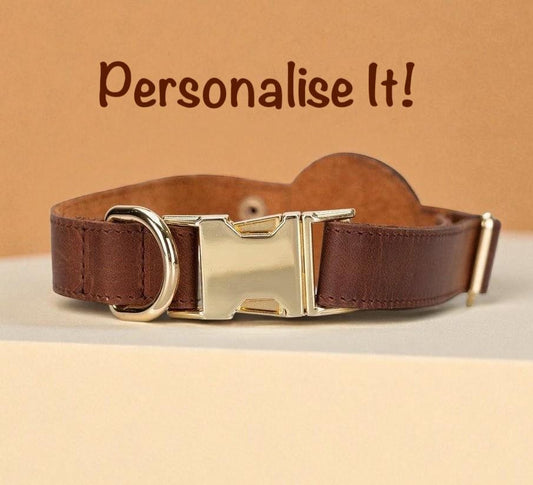 Custom Leather Dog Collar with AirTag Holder – Personalized, Adjustable, 8 Colors