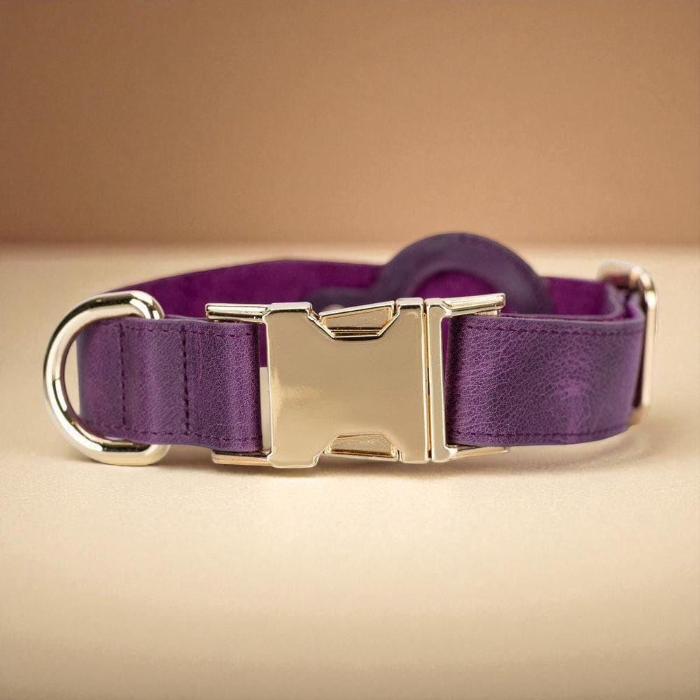 Custom Leather Dog Collar with AirTag Holder – Personalized, Adjustable, 8 Colors